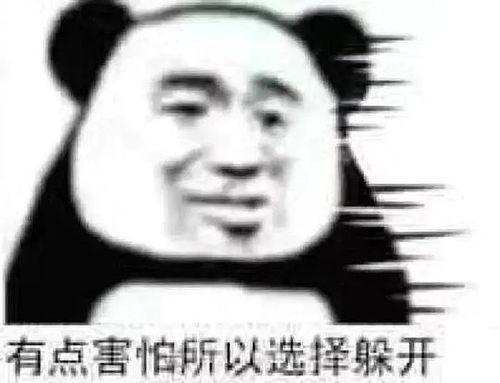吃瓜群众表情包的内容怎么写,揭秘吃瓜群众表情包背后的趣味与智慧
