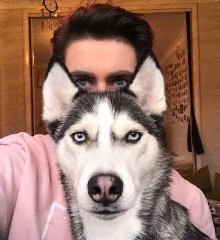 娱乐吃瓜酱二哈,揭秘娱乐圈那些不为人知的幕后故事