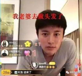 娱乐圈吃瓜贾乃亮是谁,娱乐圈吃瓜群众心中的焦点人物